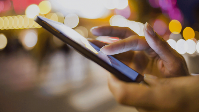 TC Kimlik Numarasıyla Kredi Notu Sorgulama