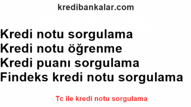 TC No ile Kredi Notu Sorgulama